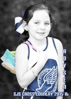 adysen_felder_2