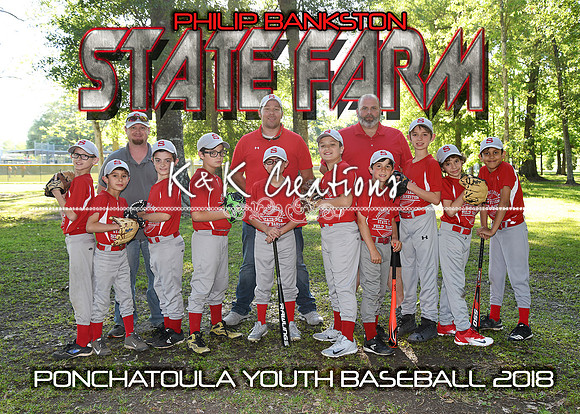 5X7 9-10B PHILIP BANKSTON STATE FARM TEAM