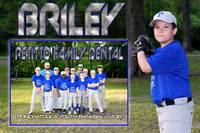 BRILEY HEMBREE MEMORY MATE