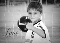 lane_drude_1