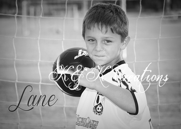 lane_drude_1