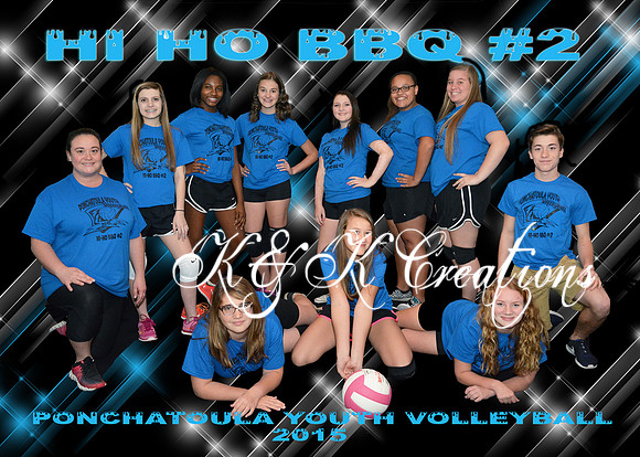 HI HO BBQ team 5X7