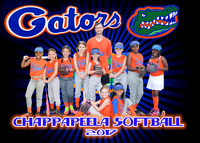 5x7 gators7-8 girls team