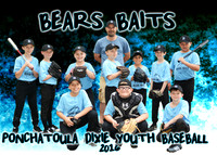 BEARS BAITS
