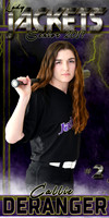 Denham Springs High Softball 2019