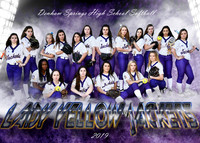 5X7  team DSHS SOFTBALL 2019
