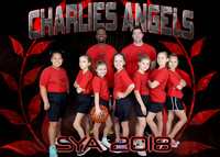 5X7 CHARLIES ANGELS TEAM