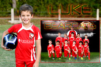 LUKE ANZALONE MEMORY MATE