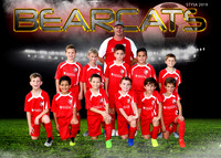 9-10U BOYS MCKINNEY - BEARCATS