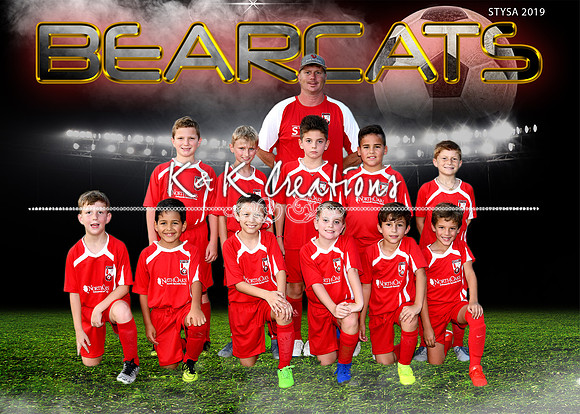 5x7 9-10U MCKINNEY BEARCATS TEAM