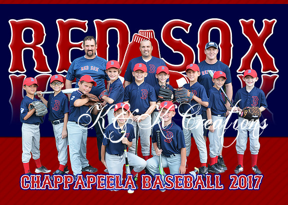 5X7 RED SOX TEAM