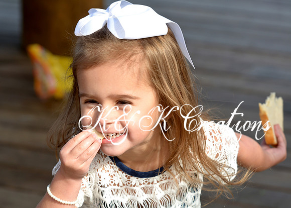 KRS_0090_1