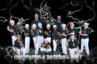 white sox boys baseball