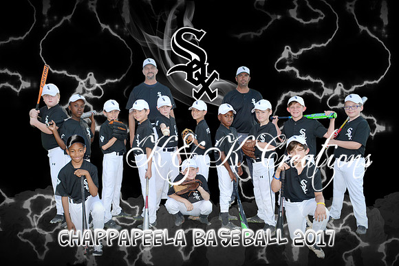 white sox boys baseball