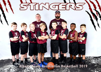 Boys 8-9 Team 3 Stingers - Tim Williams