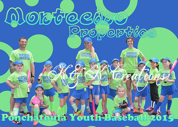 montecino properties_team5x7