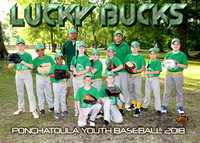 9/10 Lucky Bucks