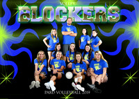 Volley Blockers 13-17 Coach Brandon