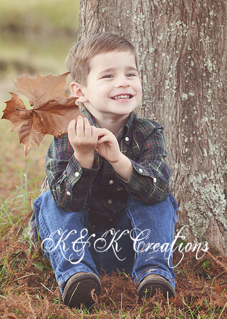 KRS_1398_1