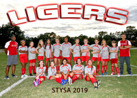 13-14U GIRLS LIGERS