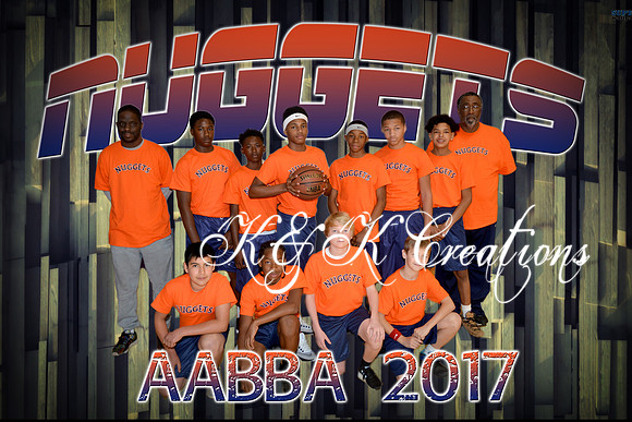 nuggets_team
