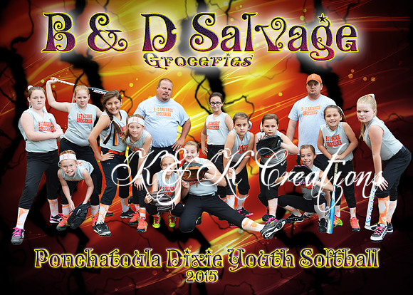 5x7 B&D Salvage Groceries TEAM