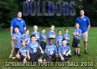 Flag Football