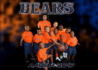 BEARS