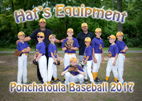 hats equipment team_2294