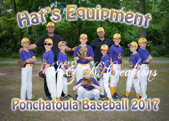 hats equipment team_2294