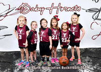 Girls 4-5-6 Team 3 Baby Hornets - Shea Griffith