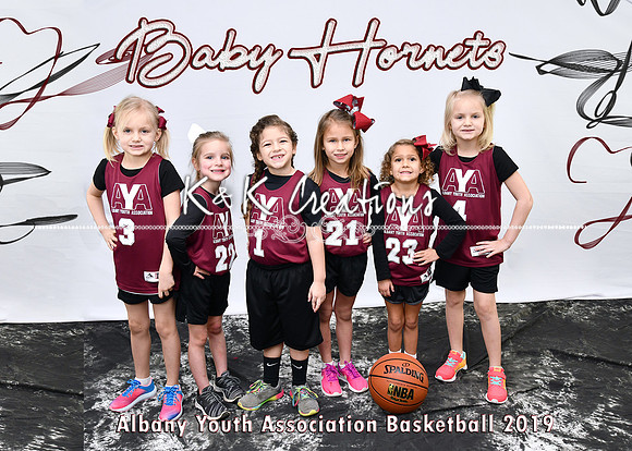 5x7 4-5-6 BABY HORNETS TEAM
