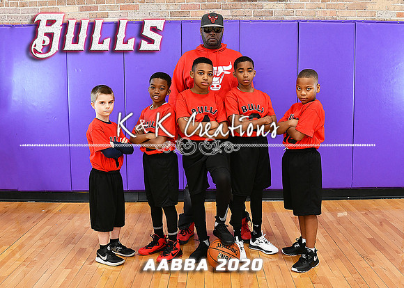 5X7AABBA BULLS TEAM