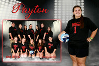 paytob brown mm