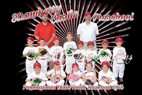 scp_tball_team