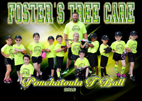 FOSTERS TREE CARE