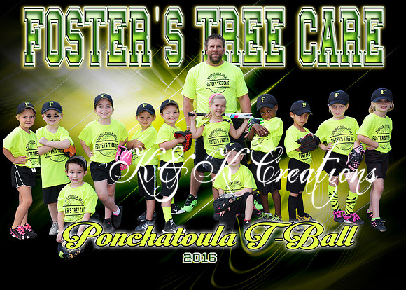 FOSTERS TREE CARE TBALL TEAM