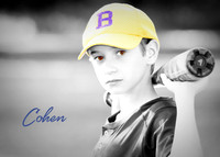 cohen_mars_3