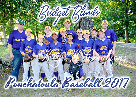 budget_blinds_team