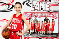 lanie perrin memory mate
