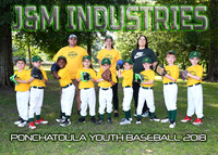 6 Coach Pitch J&M Industries