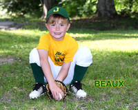 beaux pfeil_6664
