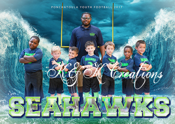5X7 SEAHAWKS TEAM PYF 2017