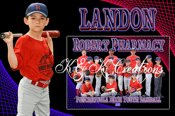 LANDON VAROS MEMORY MATE