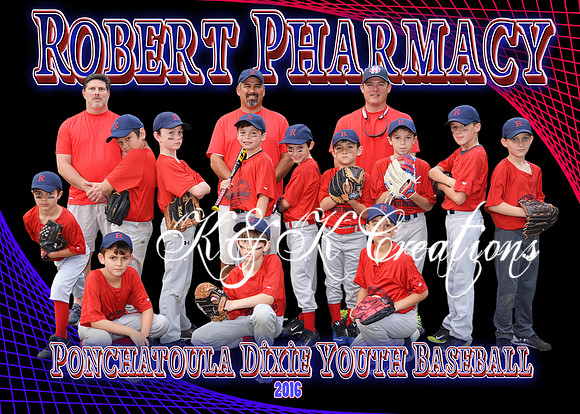 ROBERT PHARMACY 9-10B TEAM
