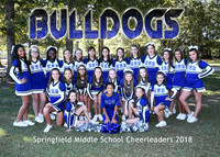 Springfield Middle Cheer 2018
