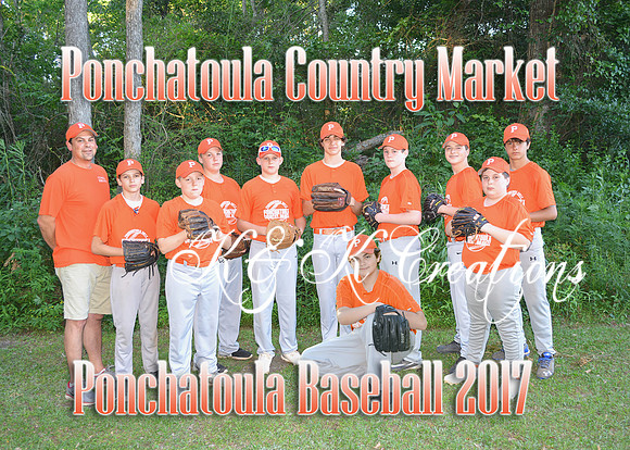 country market team