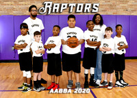 RAPTORS