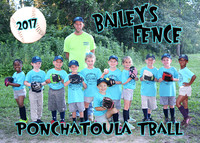5x7 baileys fence team_add player