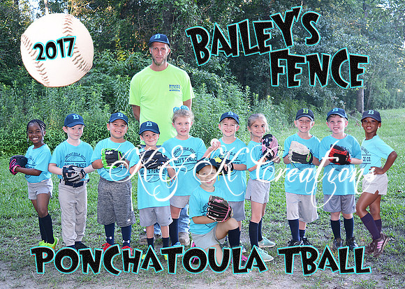 5x7 baileys fence team_add player
